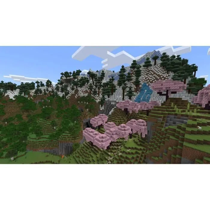 Minecraft - Jeu PS5 Octopia